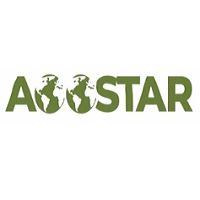 Aoostar